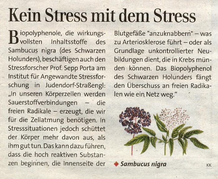 Artikel - Kein Stress mit dem Stress